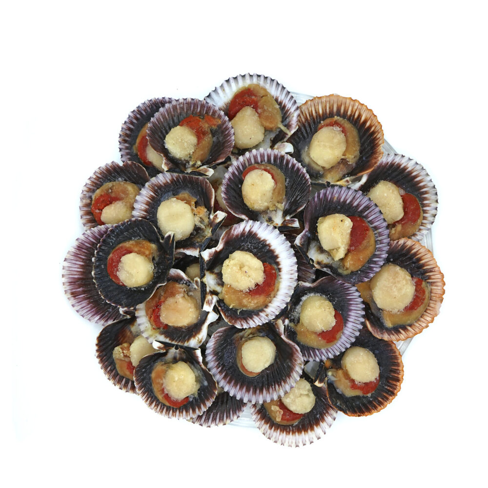 Ostión con coral 1/2 concha