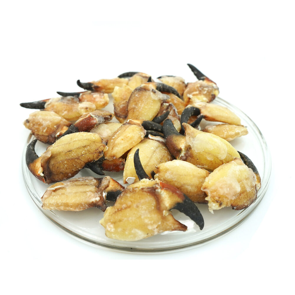pinzas de Jaiba calibradas (1kg)
